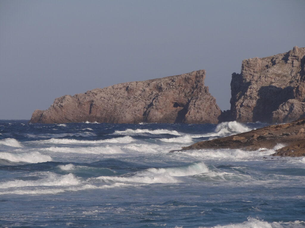 cala mesquida swell
