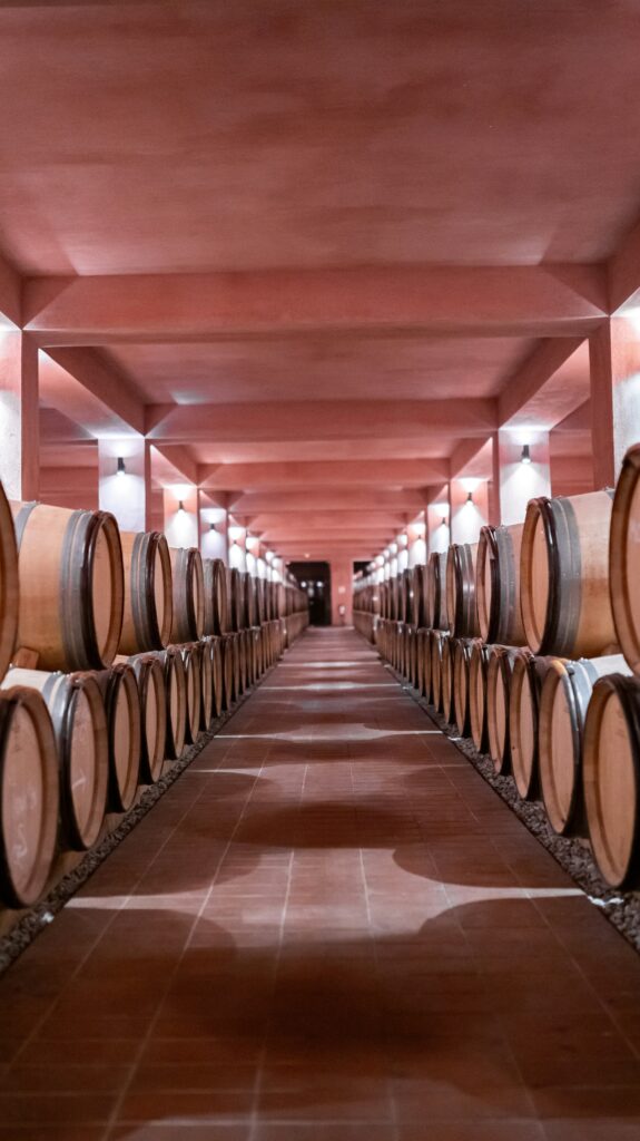 vino castello