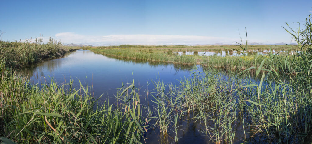 albufera natural park