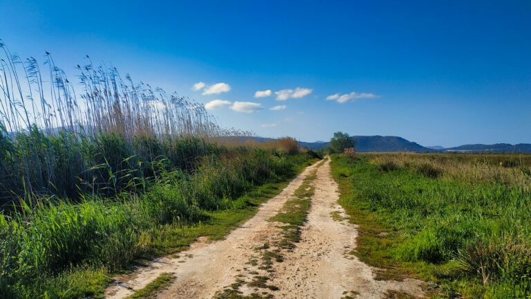 bicycle and hiking trail in can picafort
