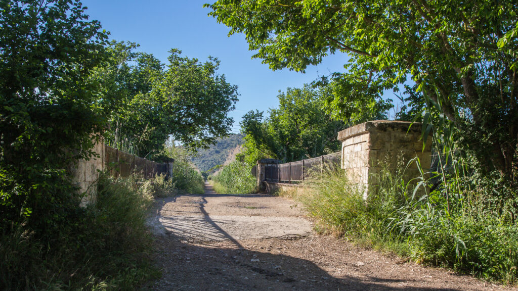 road in sa pobla mallorca