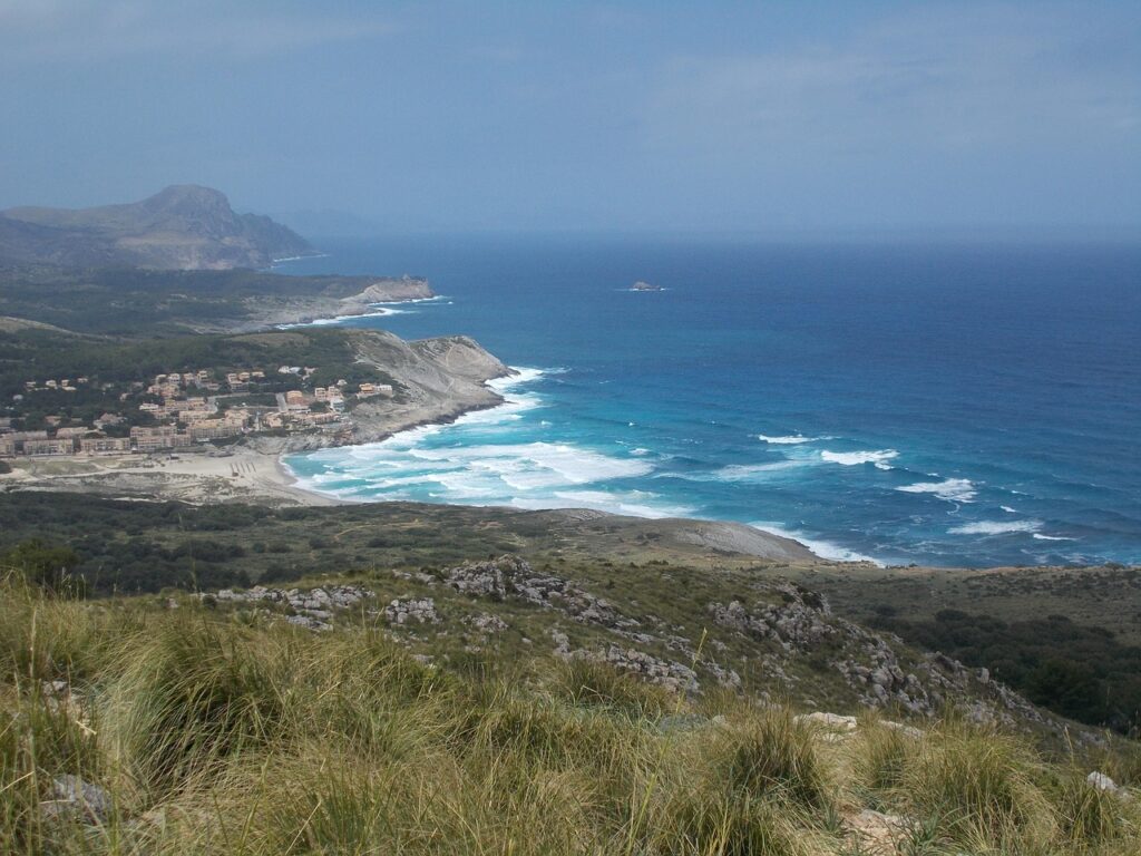 birdwatching point at cap des freu