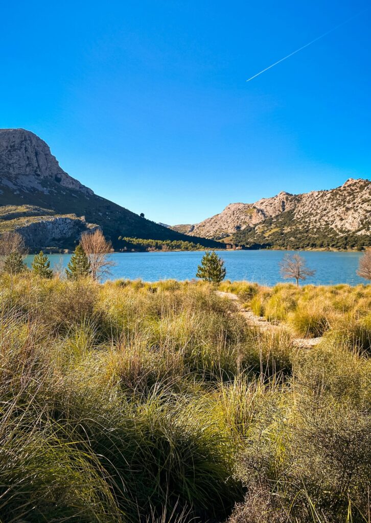 parque natural de s´albufera en mallorca