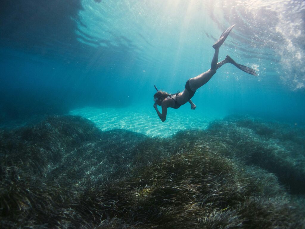 actividad de snorkel en magaluf