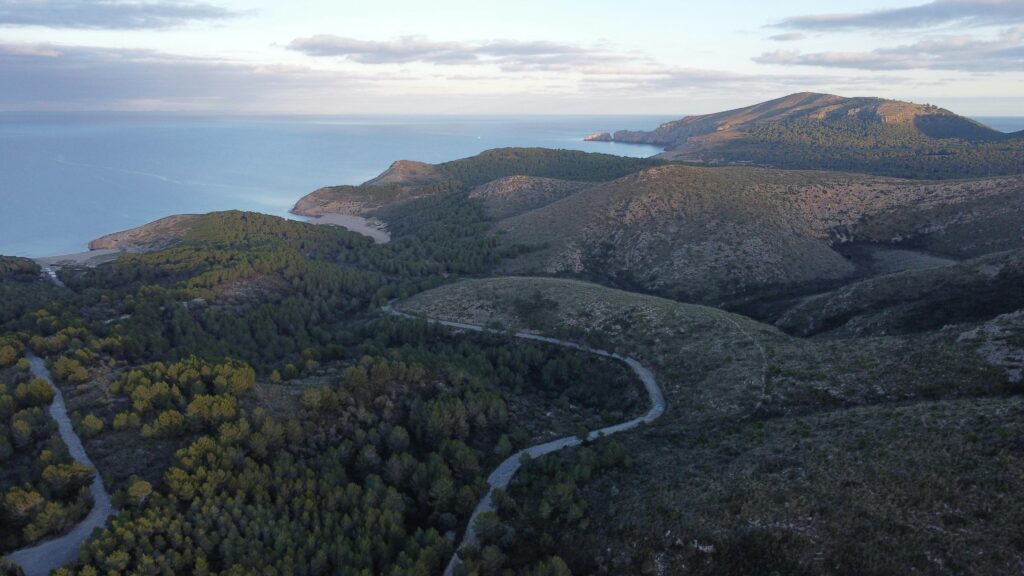 aerial view of arta and the coves mesquida and torta and agulla