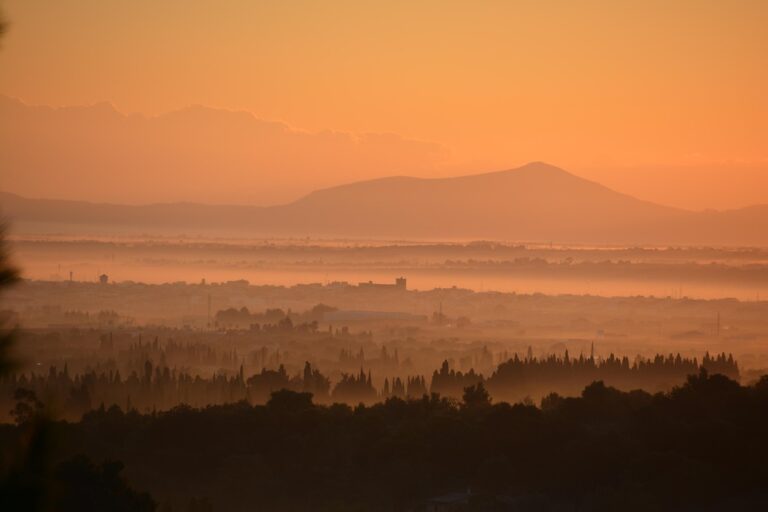 vista de sa pobla mallorca al atardecer