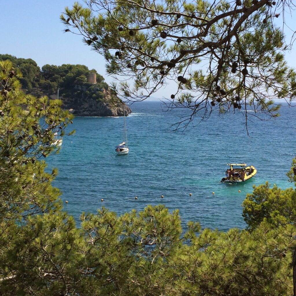 boats in portals vells
