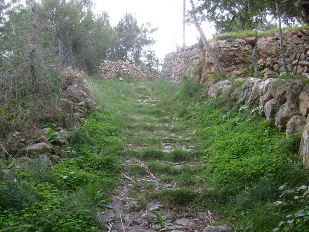 ruta de pedra