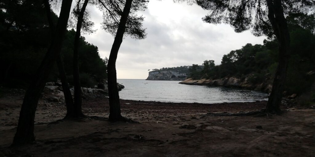 cala falco