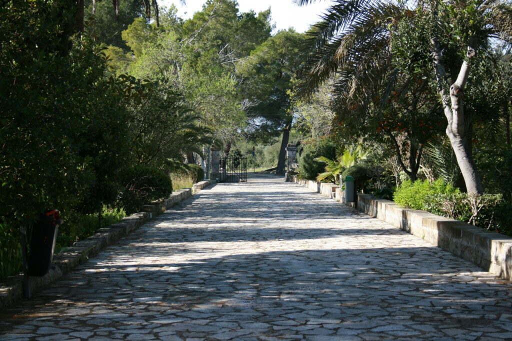 Santa Margarita tree-lined promenade