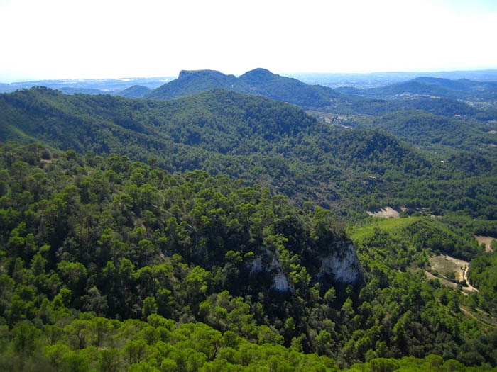 sierra de llevant