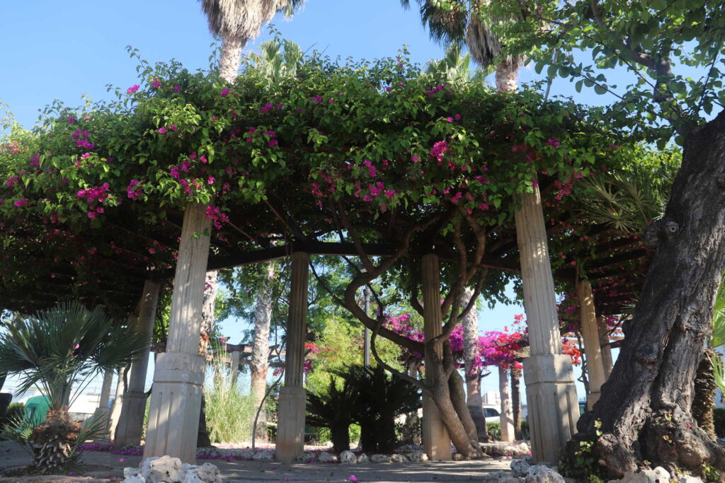 Plaza del Santísimo Cristo de la Junquera