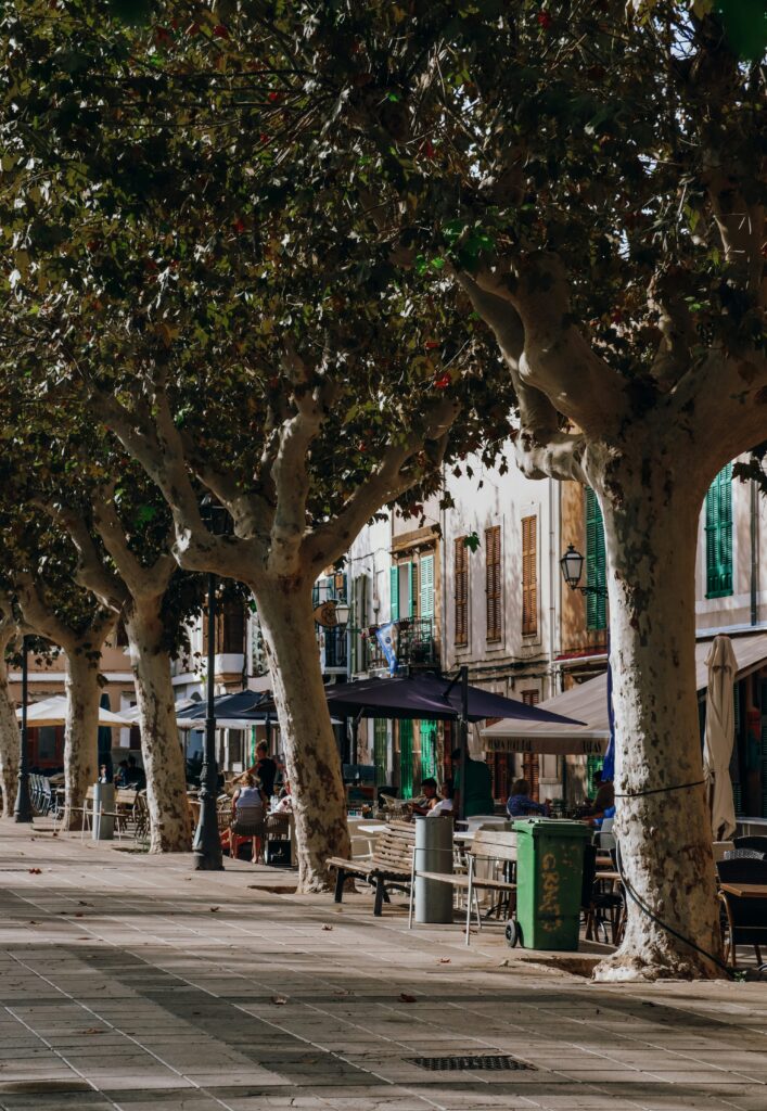centre of the village of arta