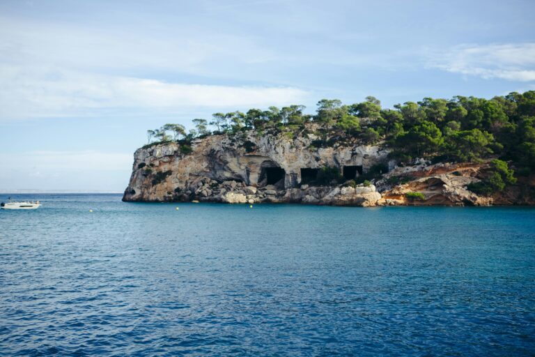 portals vells mallorca