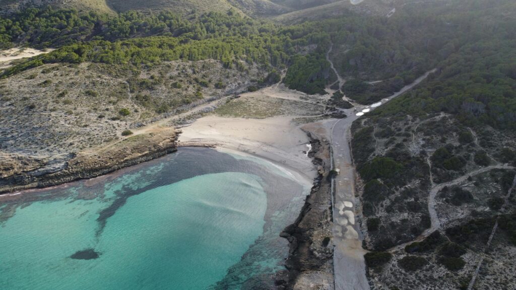 cala torta