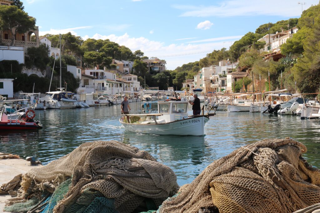 afternoon in cala figuera
