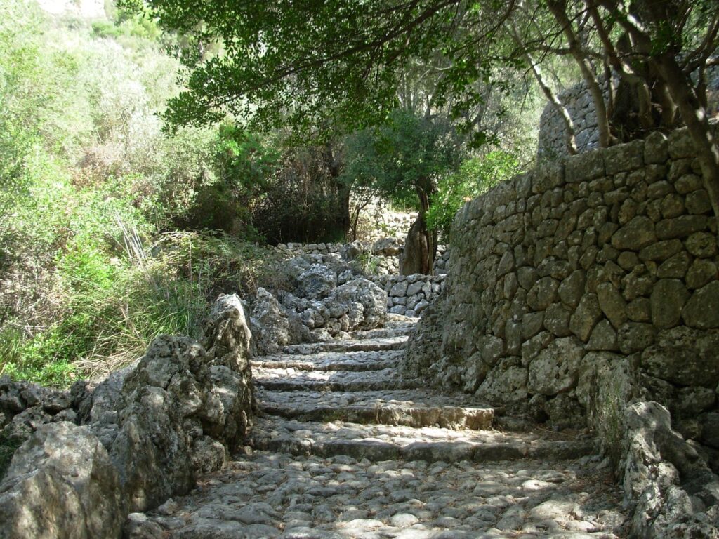 la trapa