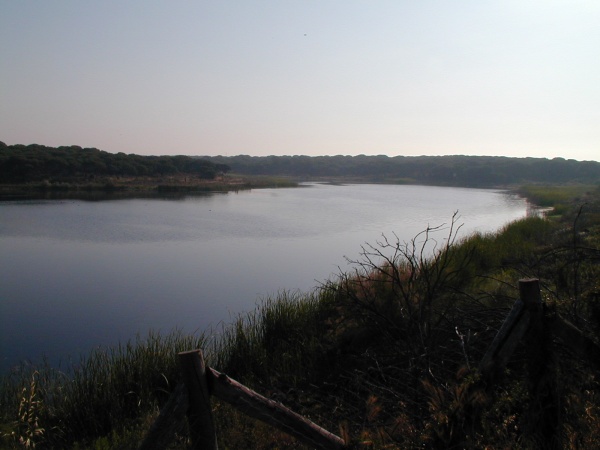 el portil la laguna
