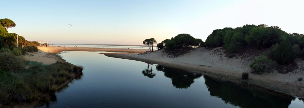 cove at the portil