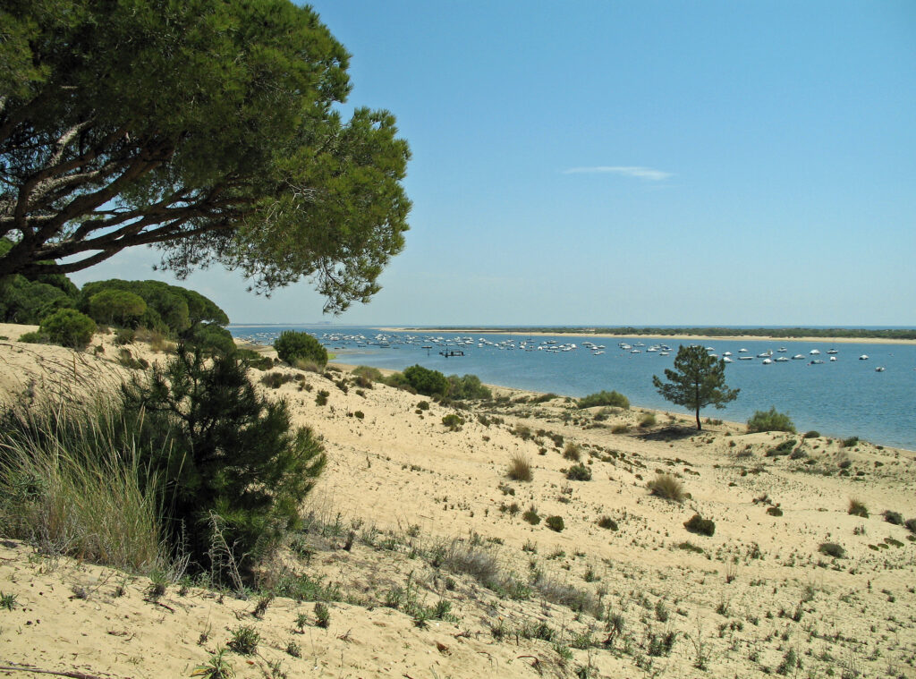 El Portil coastal park