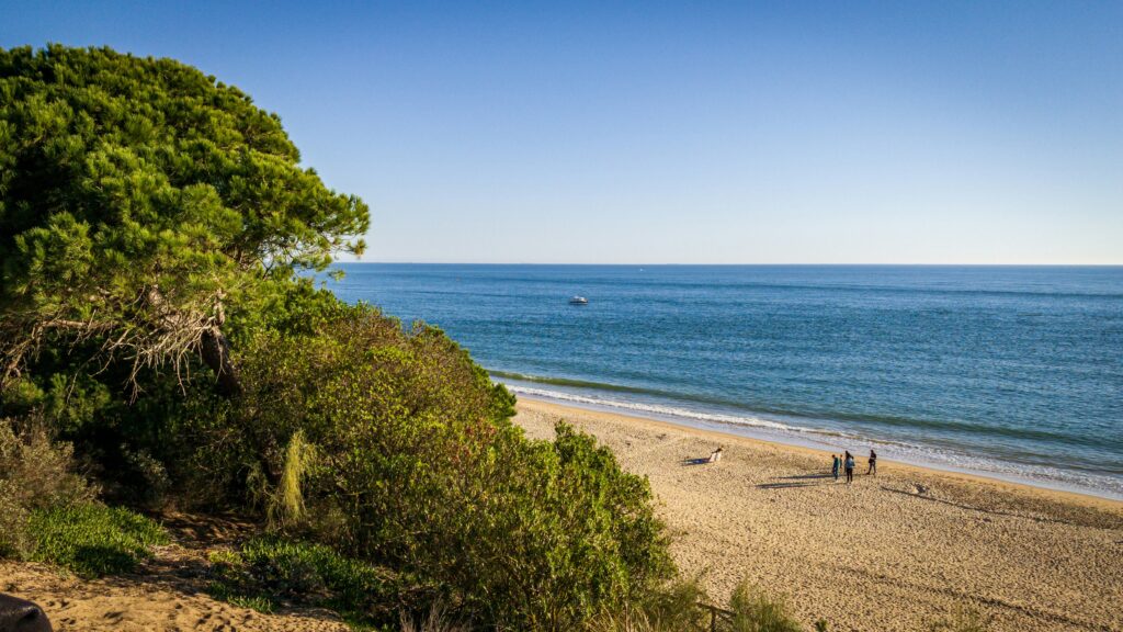 cartaya el portil