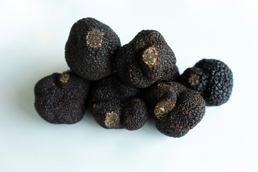 black truffle monroyo