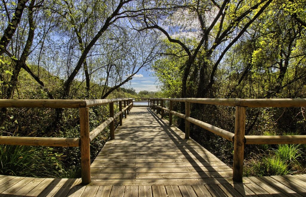 Doñana National Park