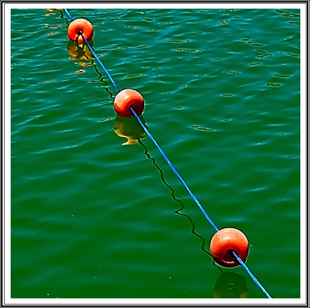 water containing phytoplankton
