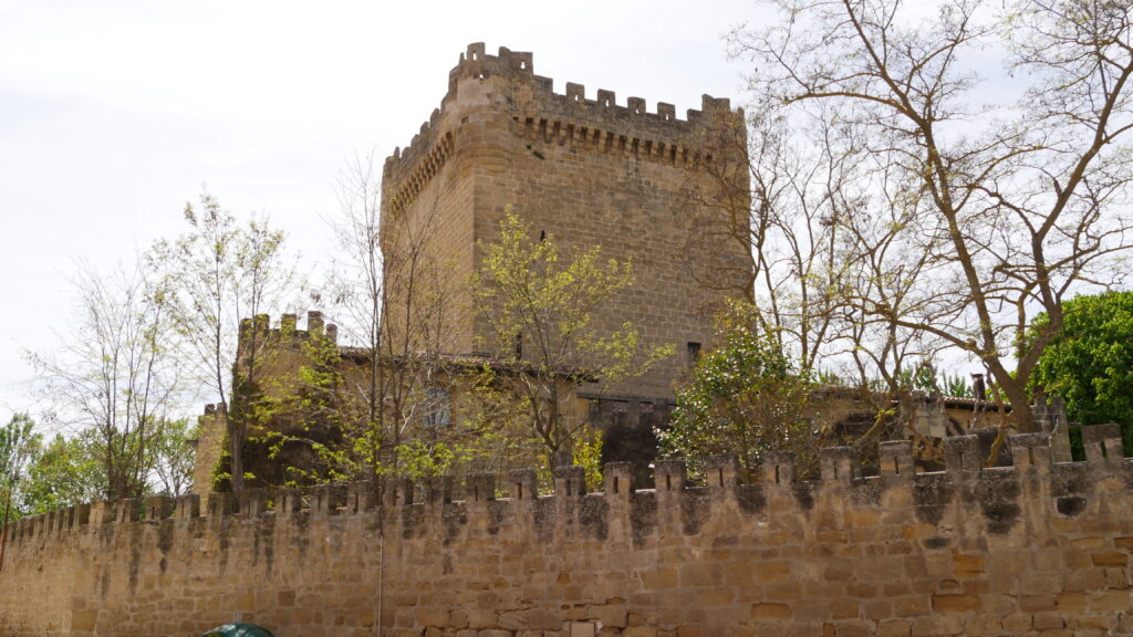 Castillo de los Velasco