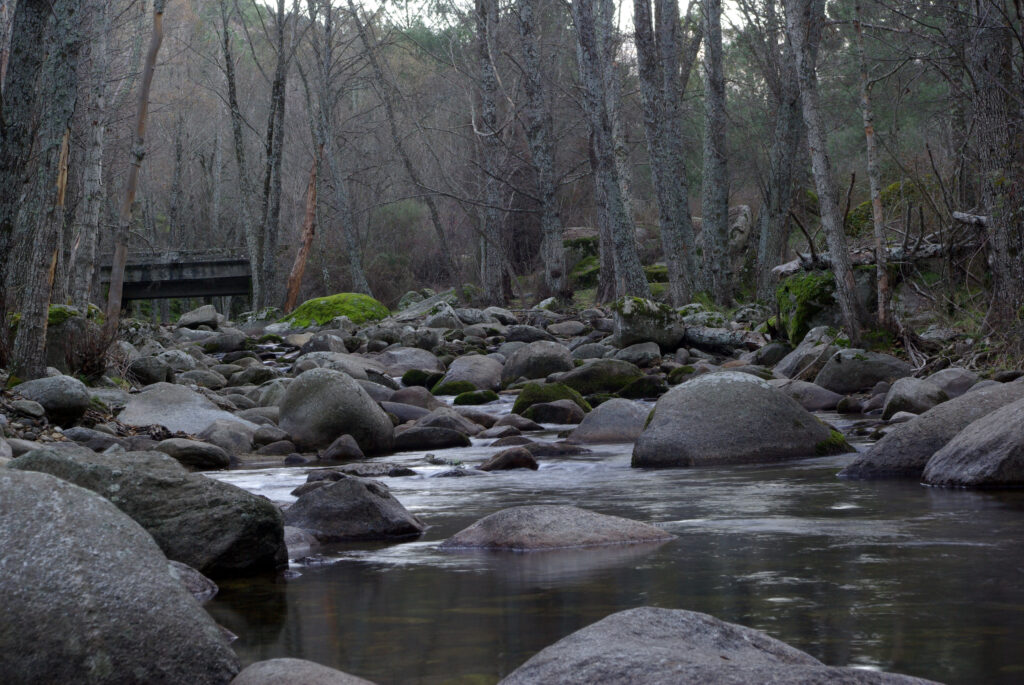 stream in barraco