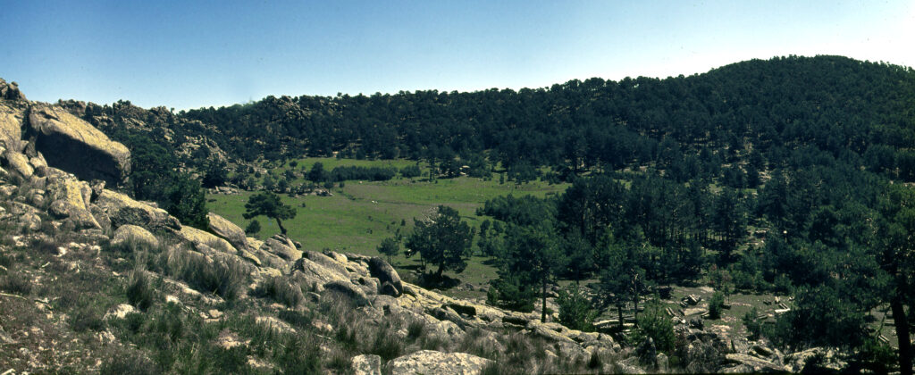 peguerinos view