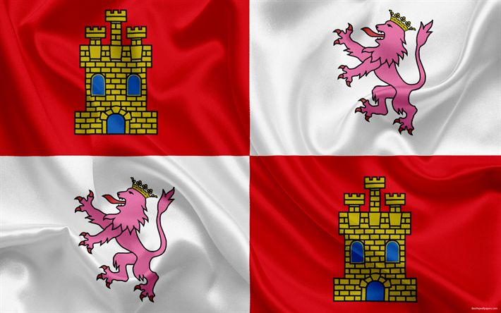 Castile and León flag
