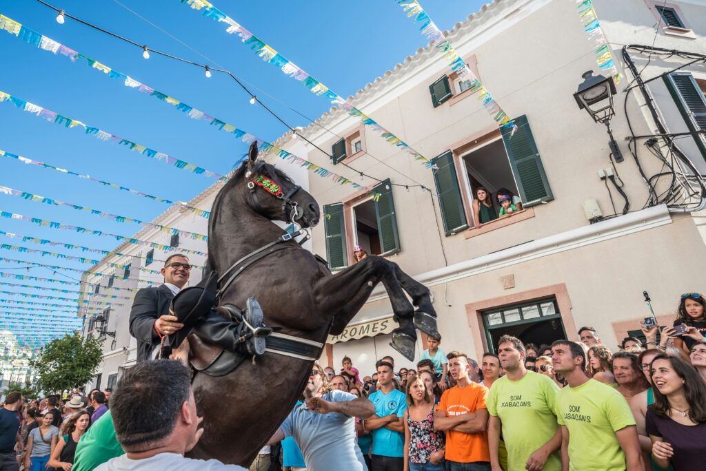 patron saint's day of Sant Martí
