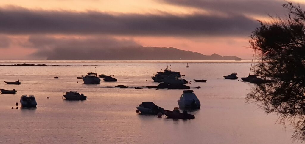 pesca en vigo