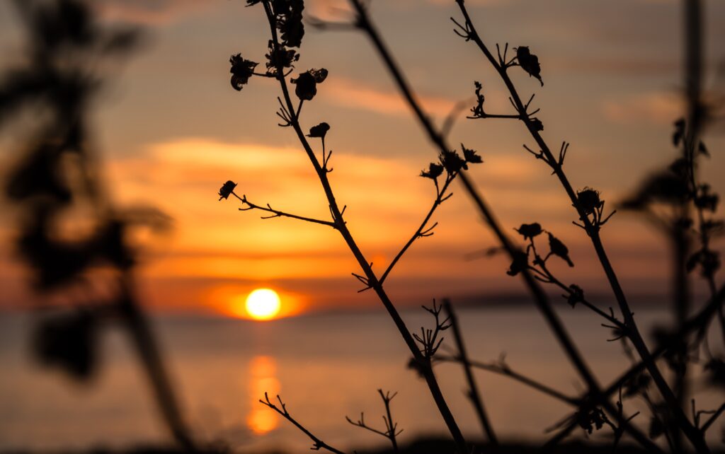 white cove at sunset