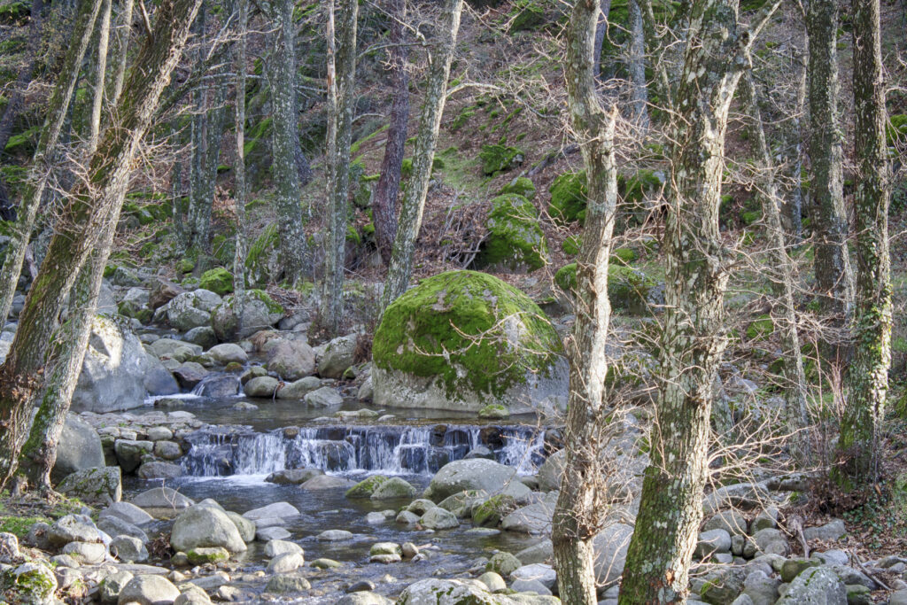 turismo y senderismo en piedralaves