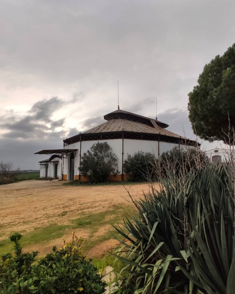 Finca Majuelo de Soto