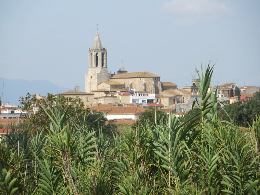 cassa de la selva entre matorrales