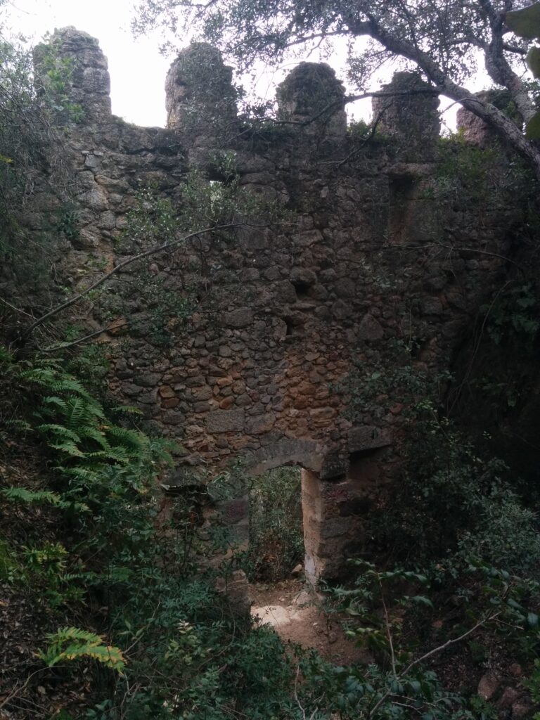 castillo de solius