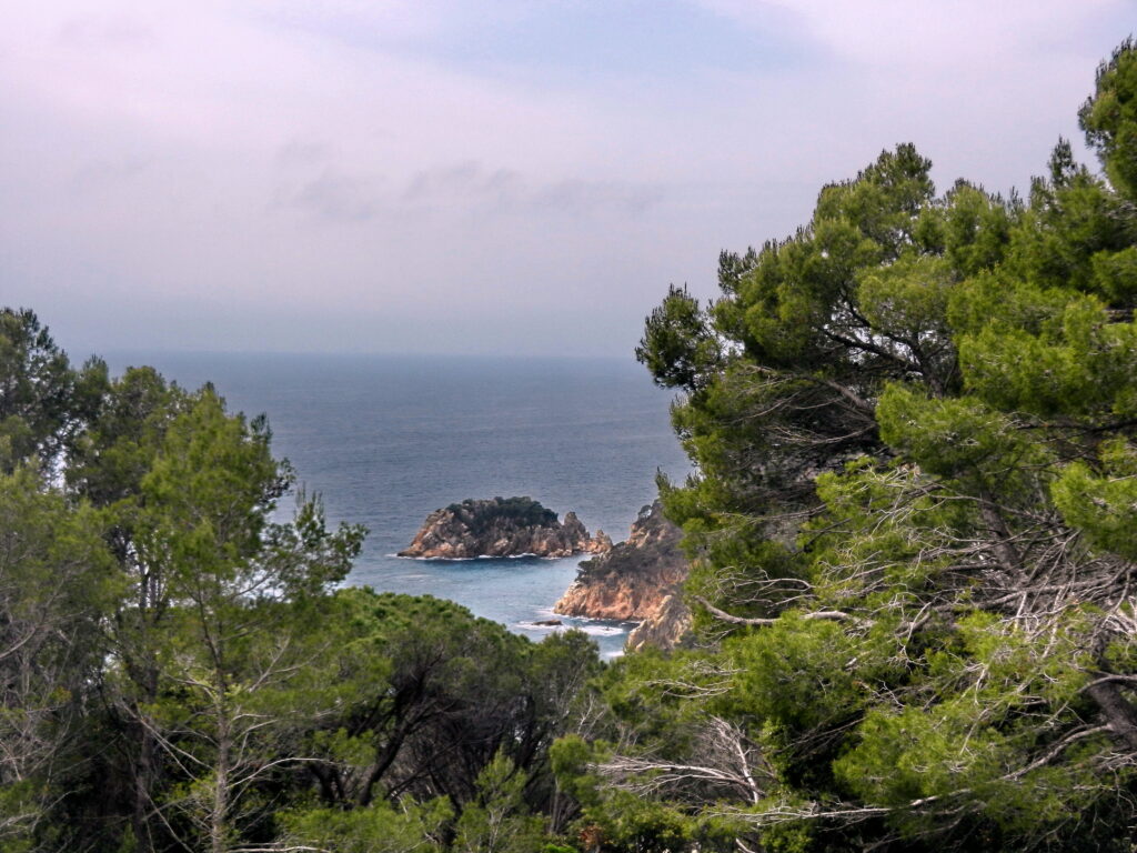 baix empordá