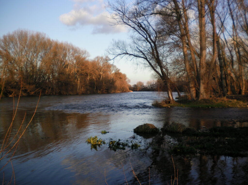 desembocadura rio iregua