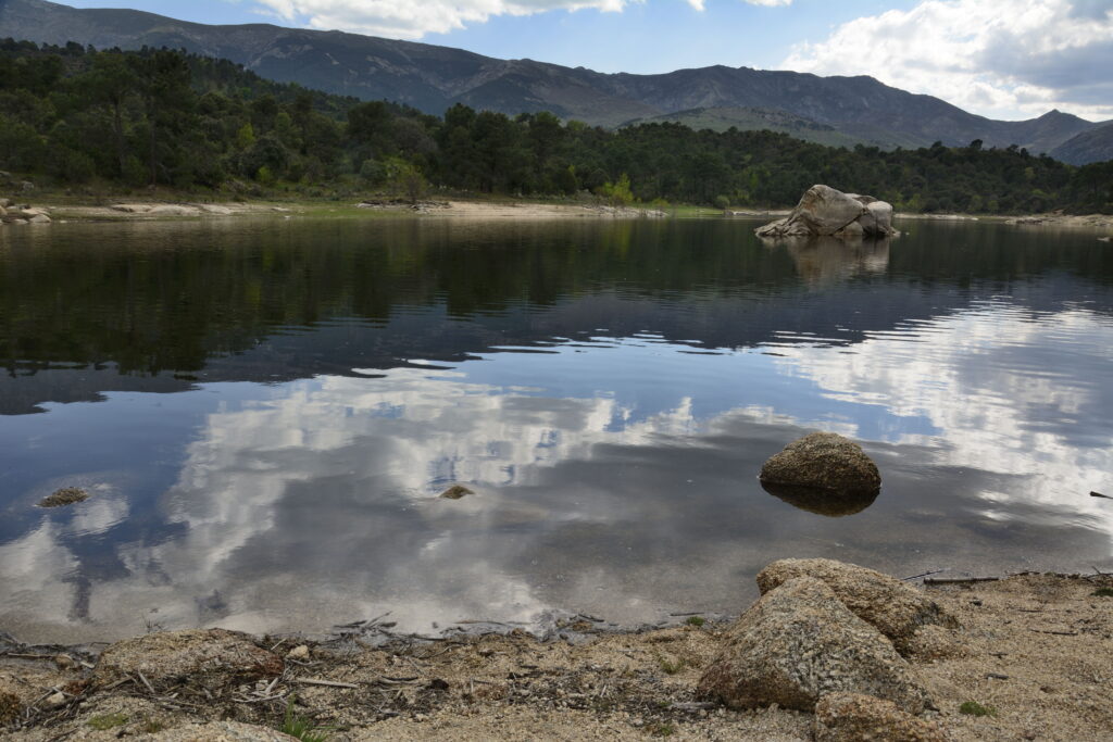 bank of the Alberche River