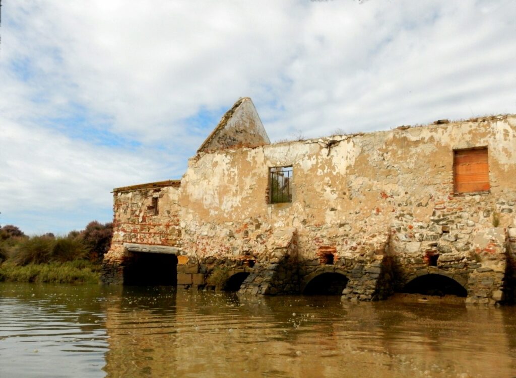 molino en las marismas de isla cristina