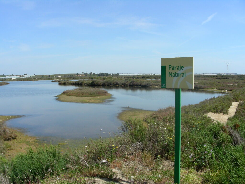 paraje natural marismas isla cristina