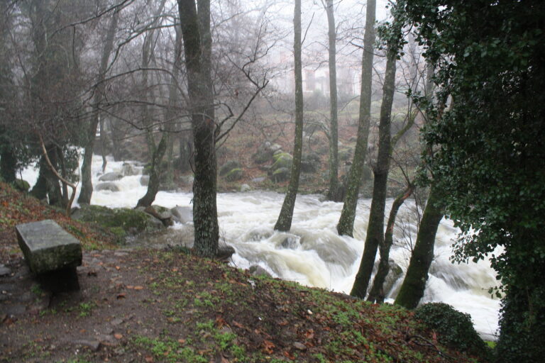 piedralaves ávila