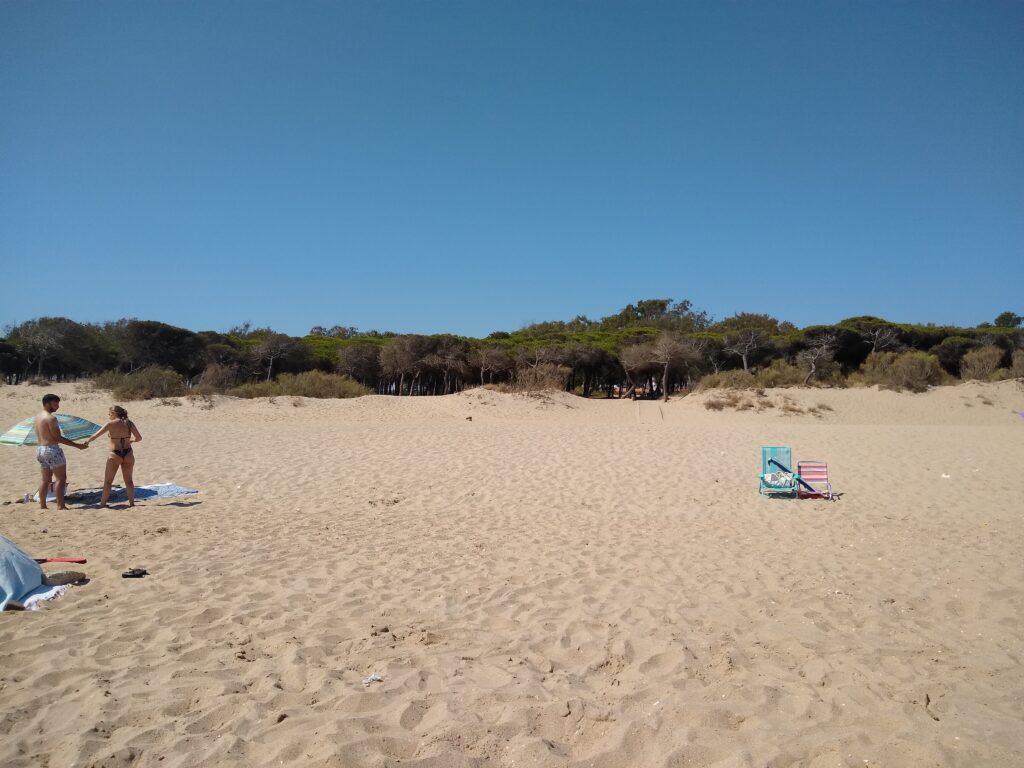 playa del hoyo