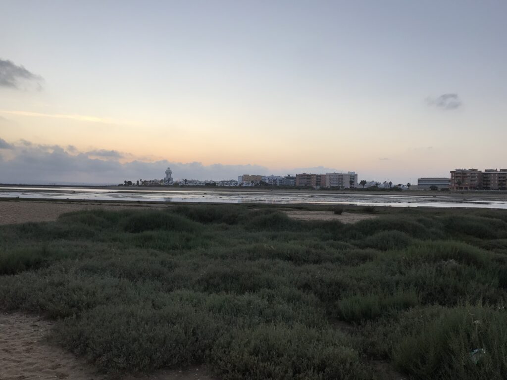 playa de la gaviota