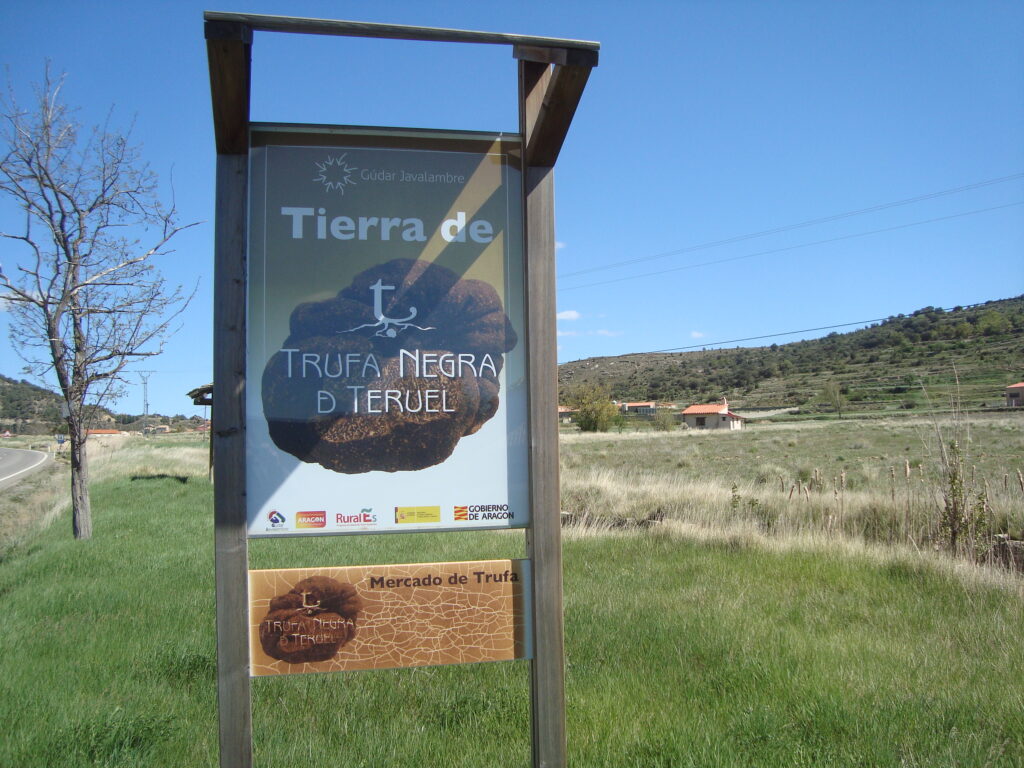 black truffle from Teruel