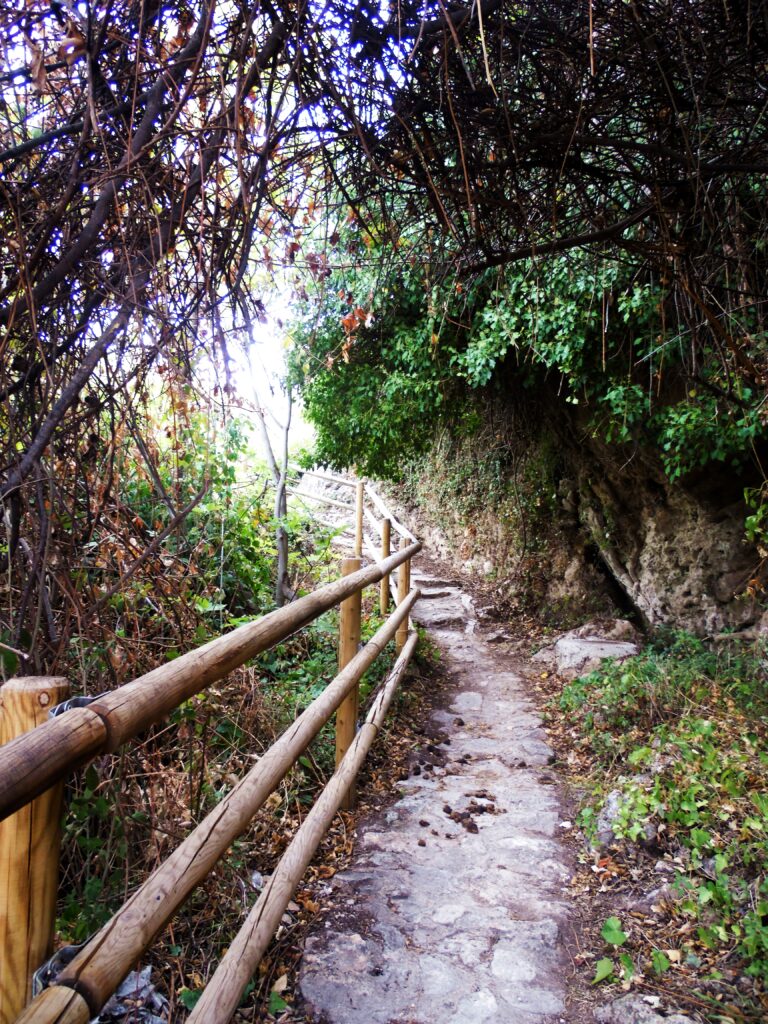 bajada al charco pataco