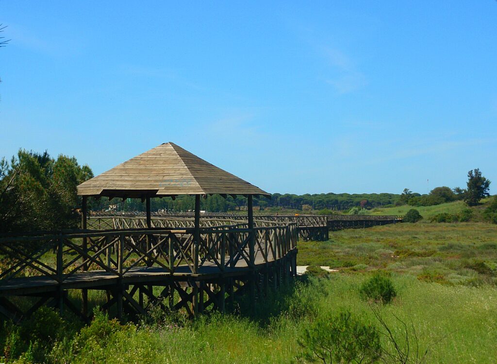 wooden walkway in Bellavista